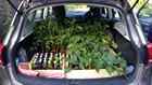 a delivery from the nursery being loaded into a van